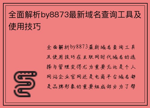 全面解析by8873最新域名查询工具及使用技巧